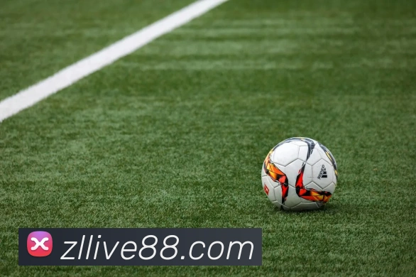 尊龙体育发展历程